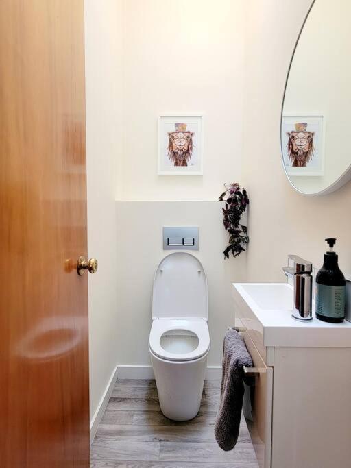 فيلا Hagley Park Townhouse كريستتشيرش المظهر الخارجي الصورة